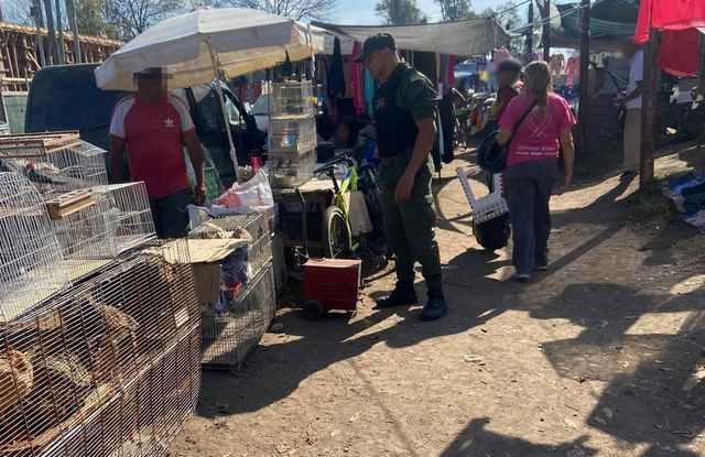 Rescatan 25 aves silvestres que eran vendidos en un puesto de la feria de Florencio Varela